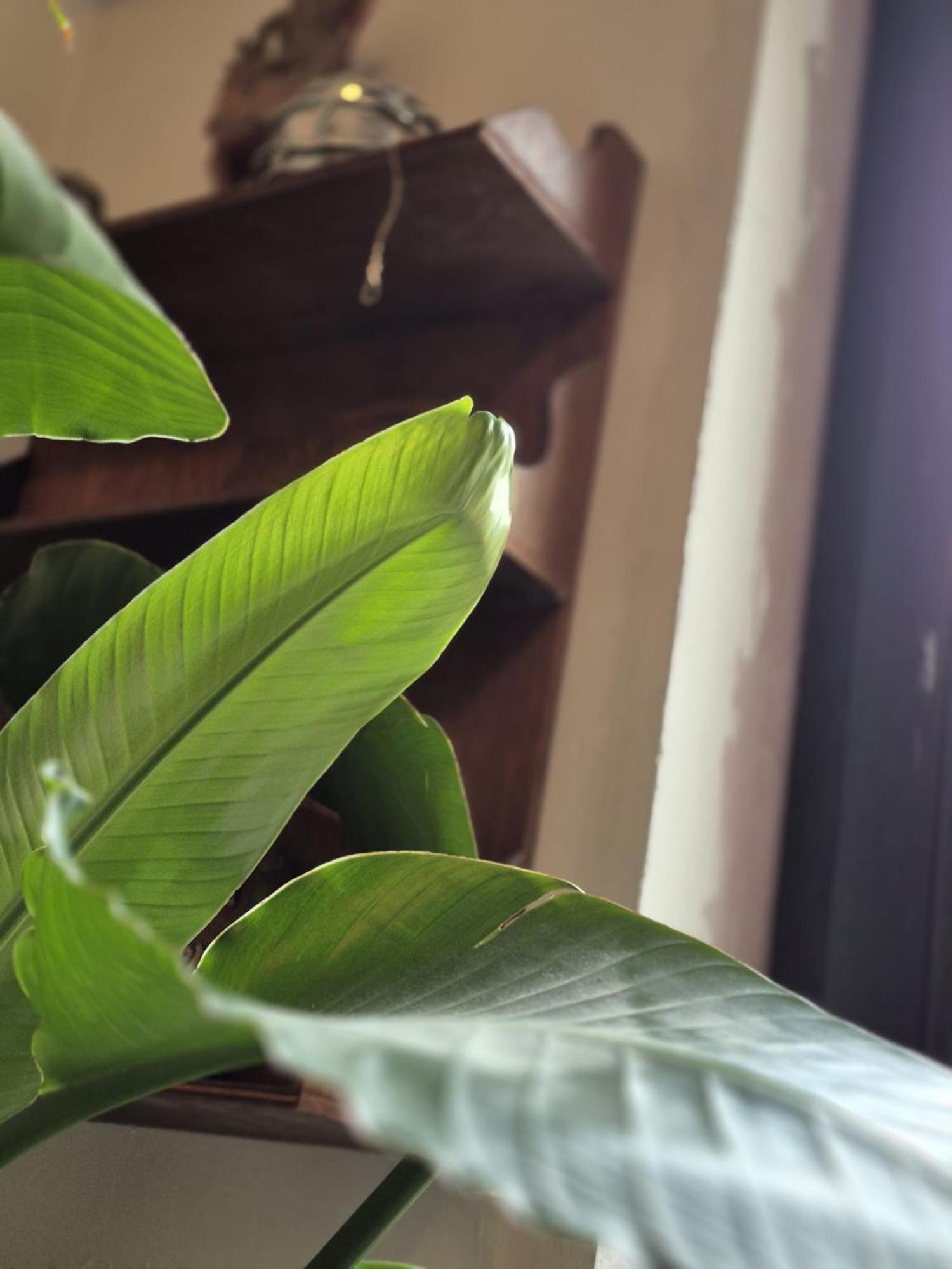 Gent'S Accomodations For Short And Middle Long Stay خنت المظهر الخارجي الصورة